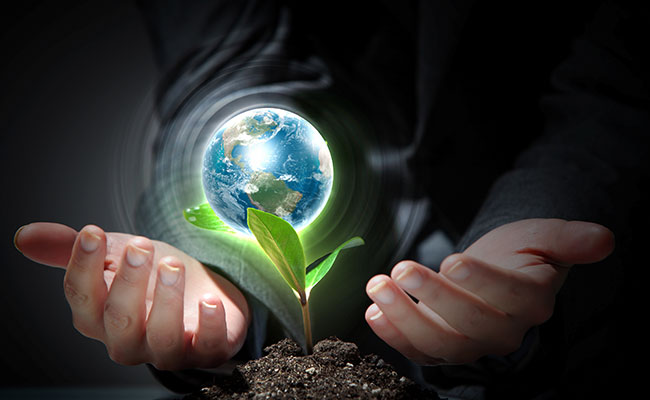 image about Asia Environmental Energy Research Office